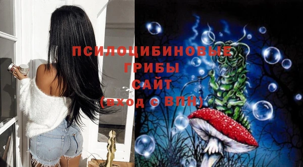 МДПВ Аркадак